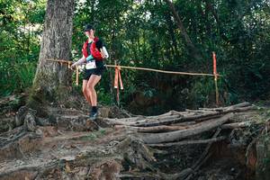 BIB: 
                            <button type="button" onclick="openModal(27756054)" class="btn btn-primary btn-sm float-right btn-popup" data-toggle="modal" data-target=".modal-high-quality">
                        <i class="fas fa-shopping-cart"></i> Add to Cart
                    </button>
                                            <button type="button" onclick="isThisMe(27756054, true)" class="btn btn-success btn-sm float-right btn-popup btn-isme hidden" data-toggle="tooltip" data-placement="bottom" title="นี่คือรูปของคุณใช่ไหม คลิกที่นี่เพื่อเอาเข้าอัลบั้ม">
                        <i class="fas fa-plus"></i> Add to album
                    </button>
                    <button type="button" onclick="isThisMe(27756054, false)" class="btn btn-warning btn-sm float-right btn-popup btn-isnotme hidden">
                        <i class="fas fa-ban"></i> Remove from album
                    </button>